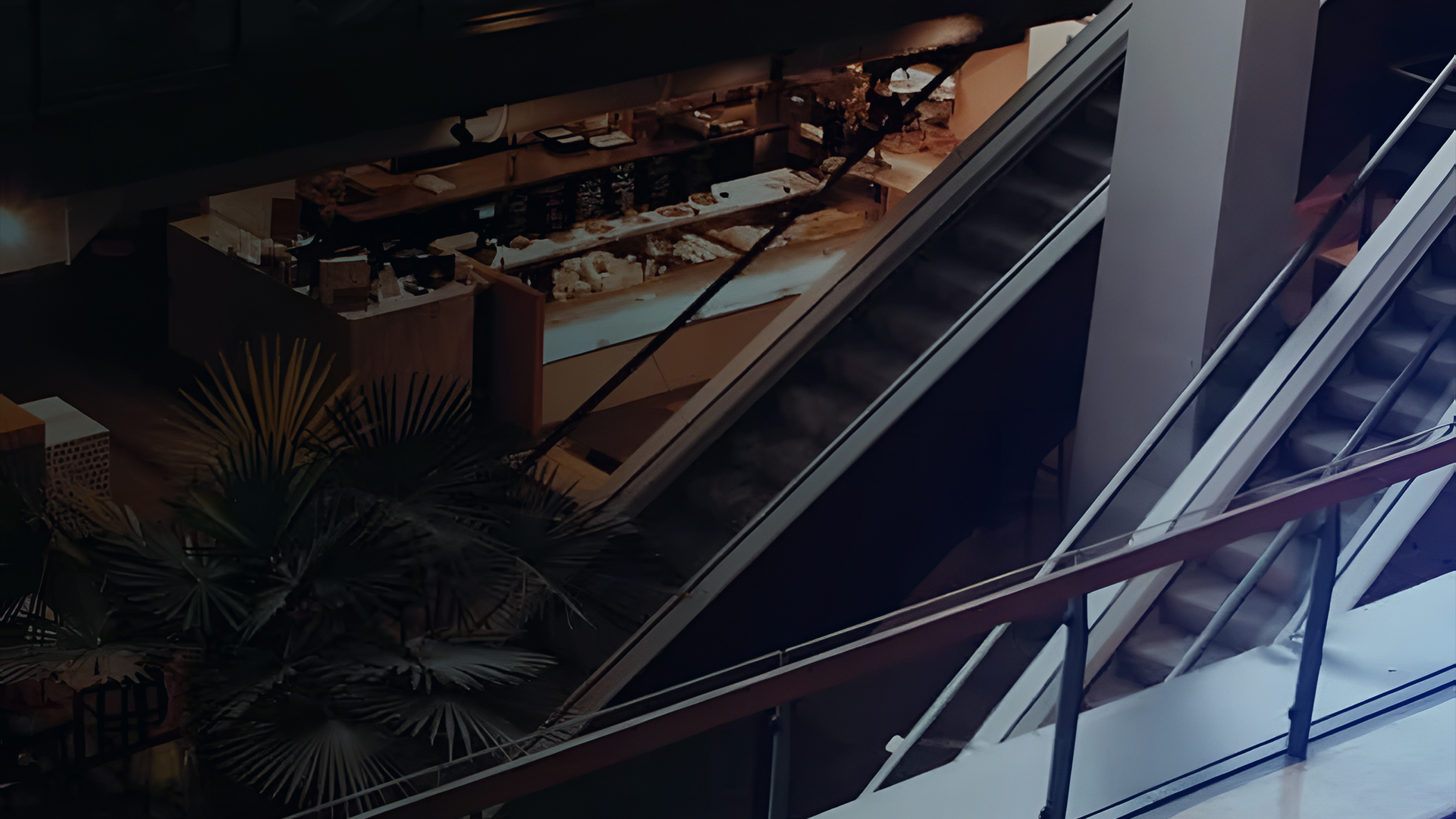 Cryptocurrency in Retail: Trends, Adoption, ͏and Insights